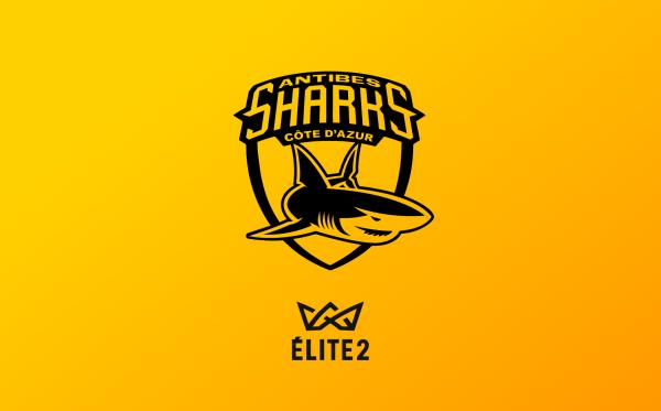 STADE ROCHELAIS BASKET / ANTIBES